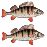 Détail de la perche (Zone 2)